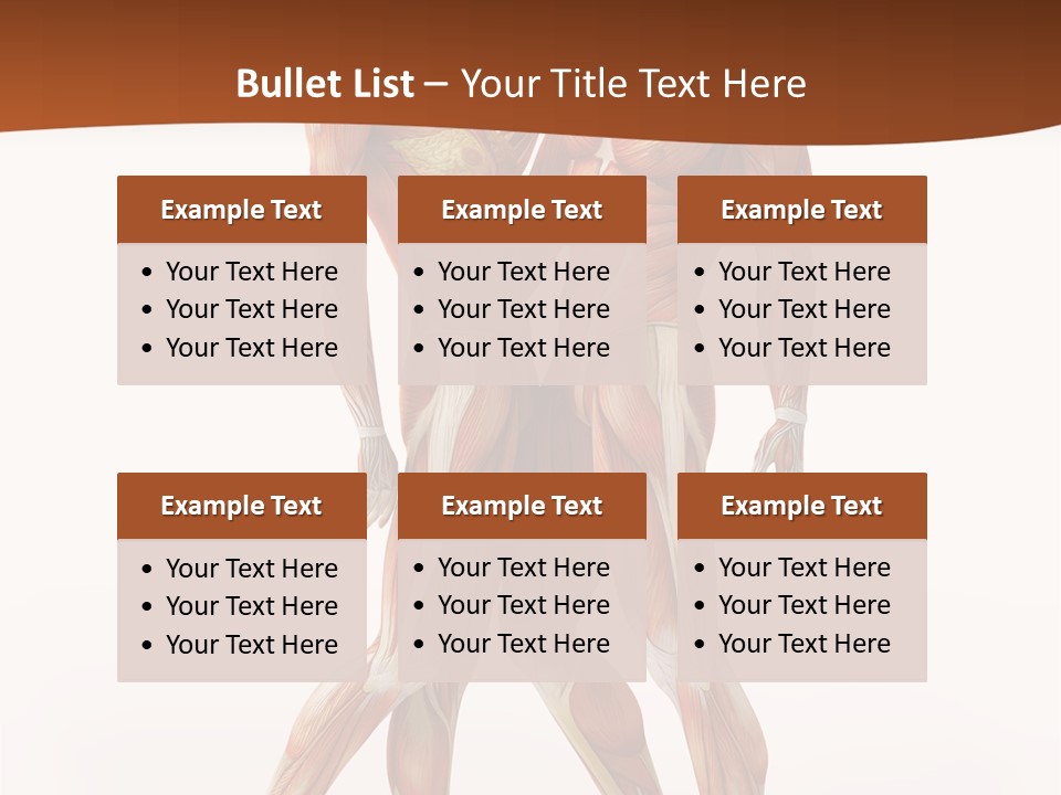 Human  Angle PowerPoint Template