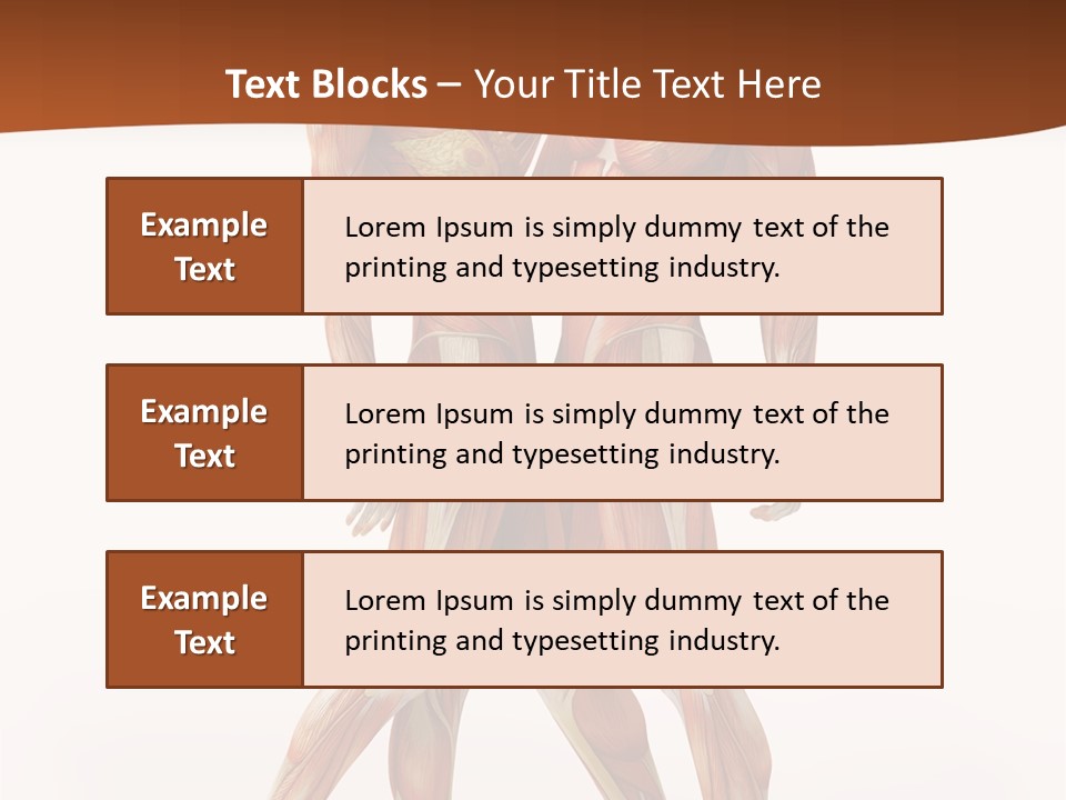 Human  Angle PowerPoint Template