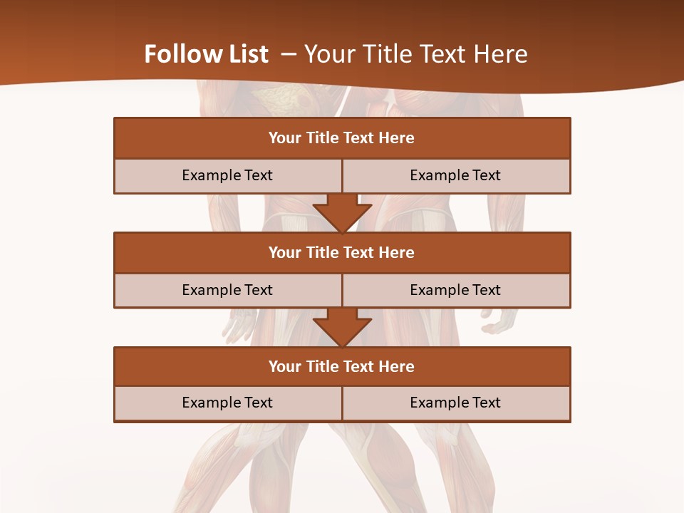 Human  Angle PowerPoint Template