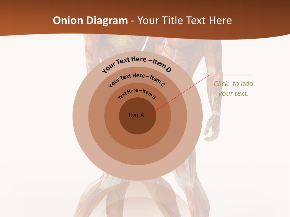 Human  Angle PowerPoint Template