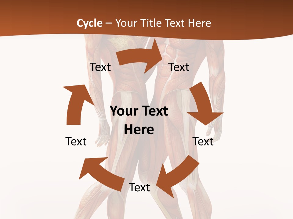 Human  Angle PowerPoint Template
