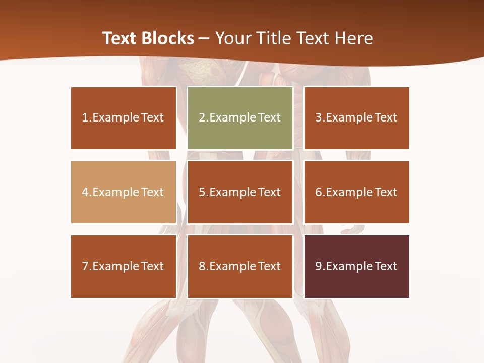 Human  Angle PowerPoint Template
