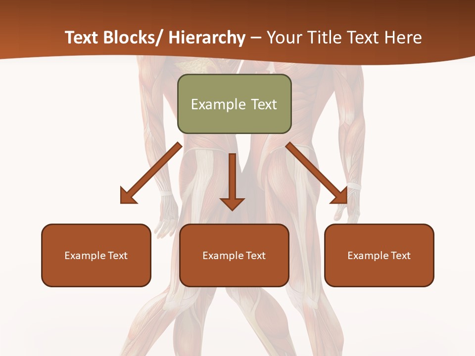 Human  Angle PowerPoint Template