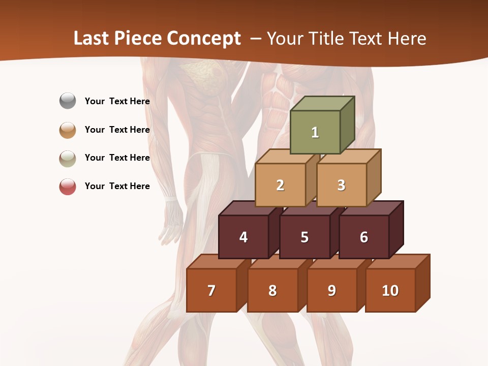 Human  Angle PowerPoint Template