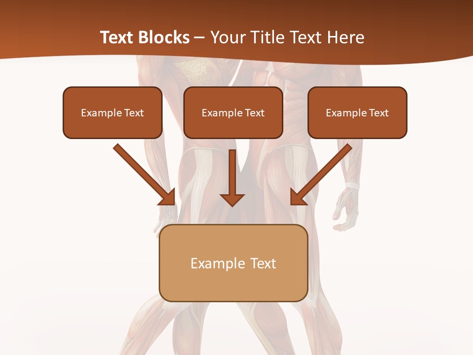 Human  Angle PowerPoint Template