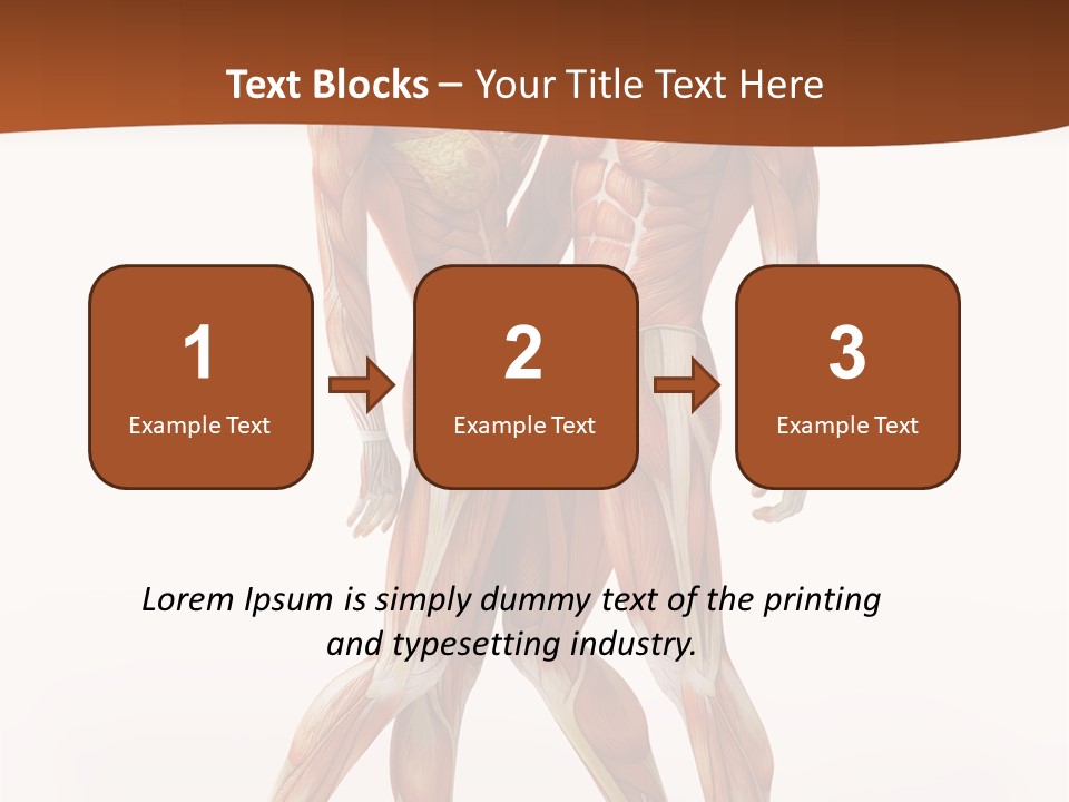Human  Angle PowerPoint Template