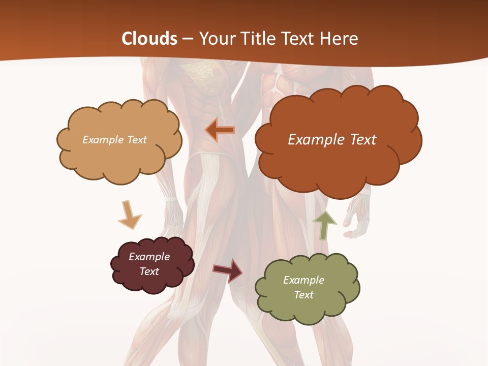 Human  Angle PowerPoint Template