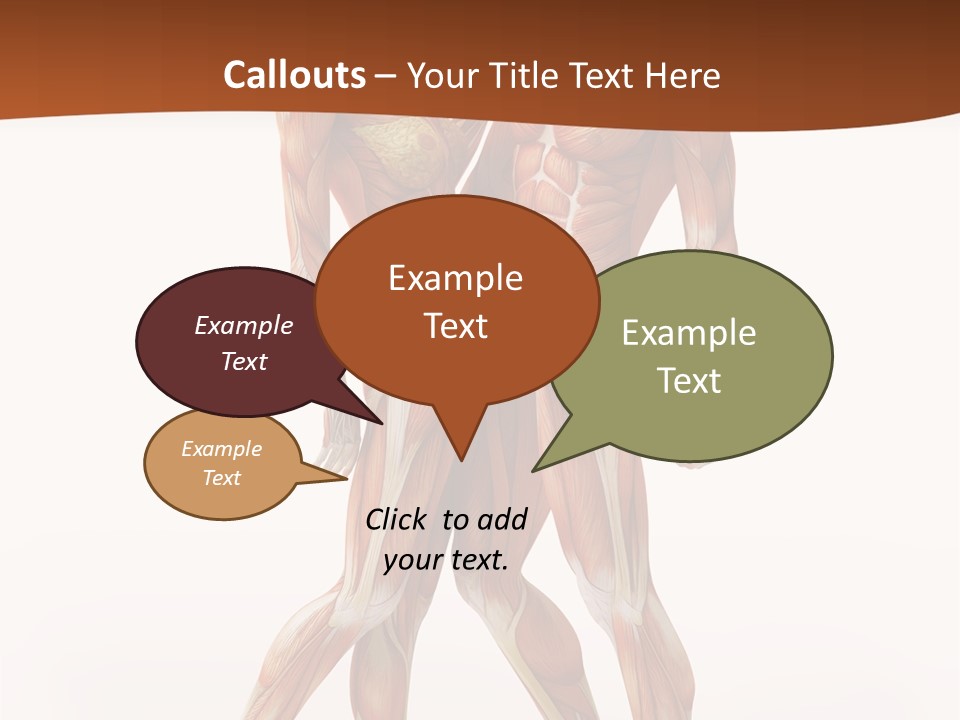 Human  Angle PowerPoint Template