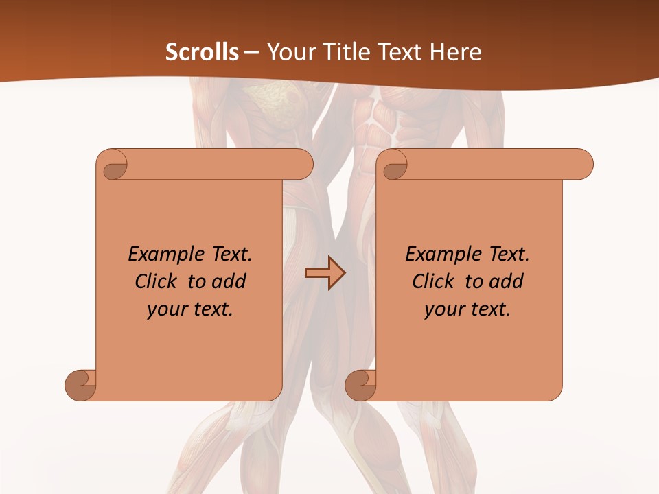 Human  Angle PowerPoint Template