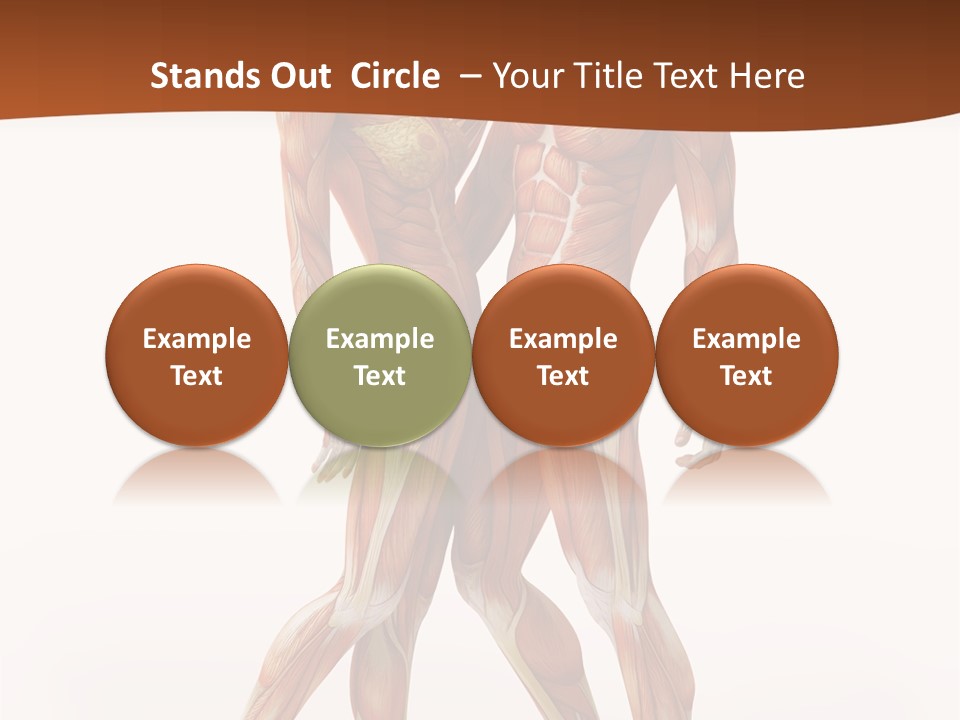 Human  Angle PowerPoint Template