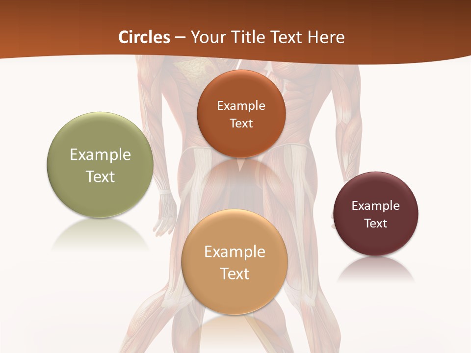 Human  Angle PowerPoint Template