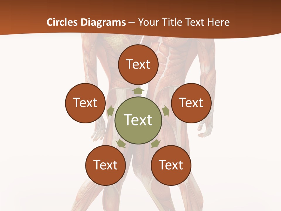 Human  Angle PowerPoint Template