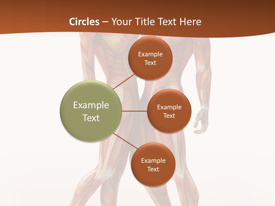 Human  Angle PowerPoint Template