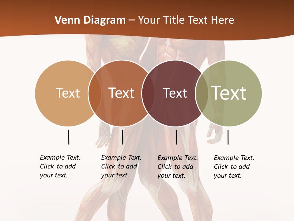 Human  Angle PowerPoint Template