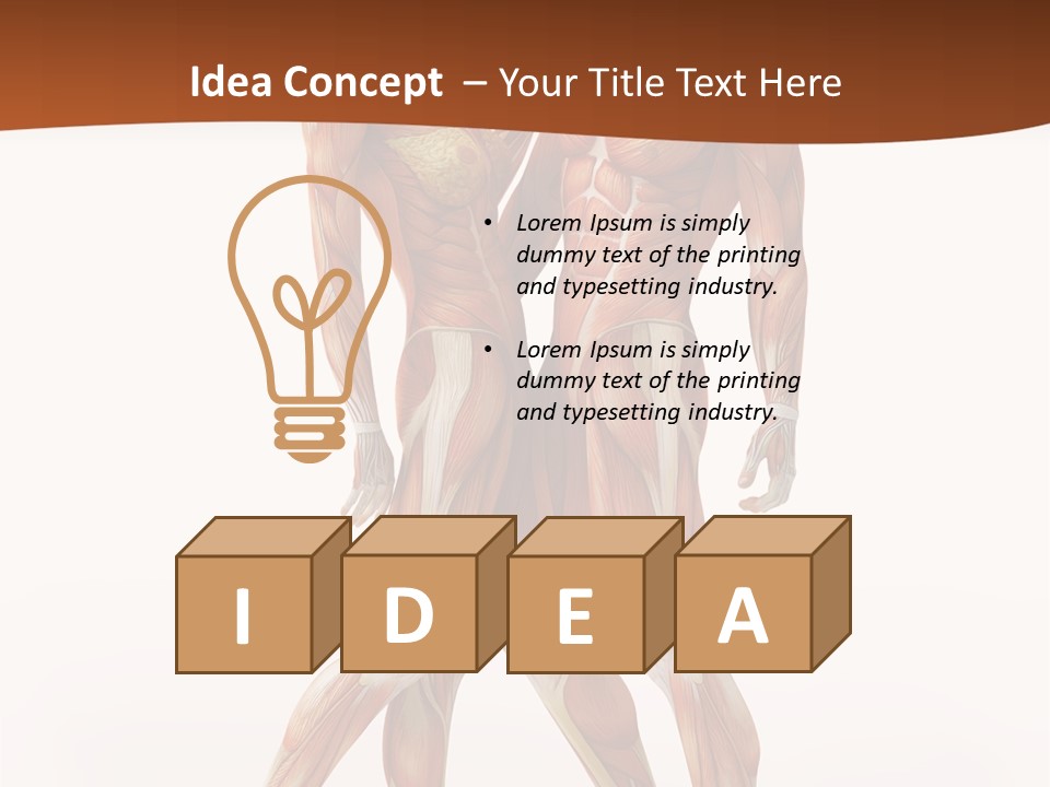 Human  Angle PowerPoint Template