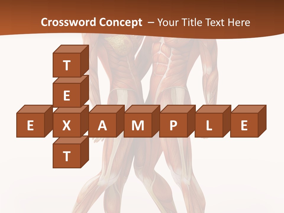 Human  Angle PowerPoint Template