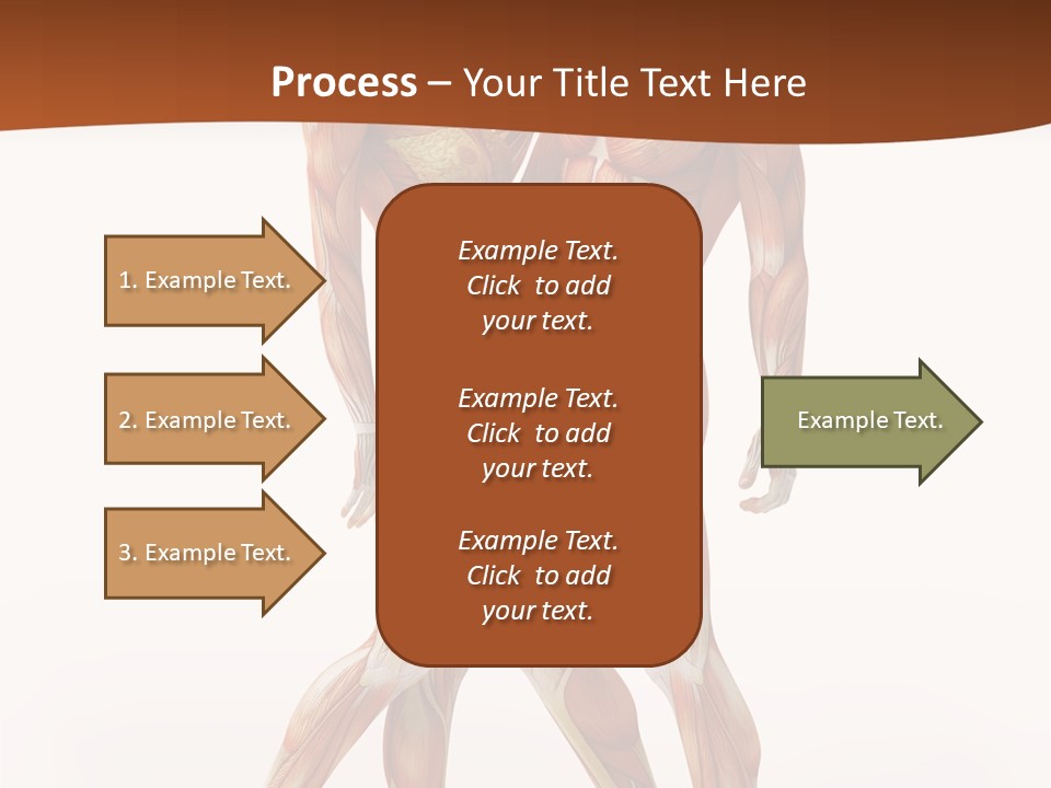 Human  Angle PowerPoint Template