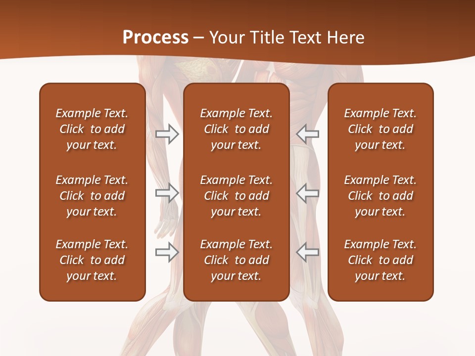 Human  Angle PowerPoint Template