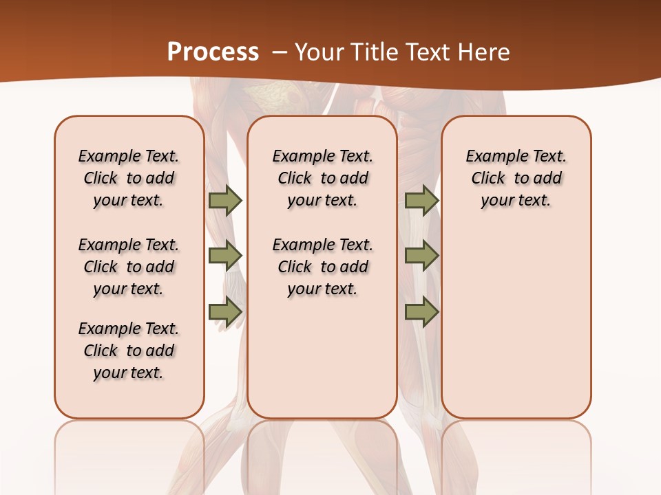 Human  Angle PowerPoint Template