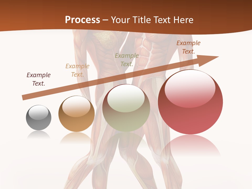 Human  Angle PowerPoint Template