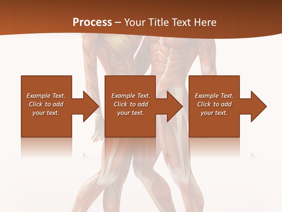 Human  Angle PowerPoint Template