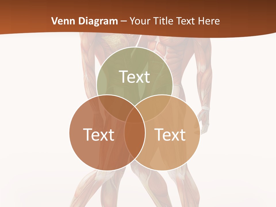 Human  Angle PowerPoint Template