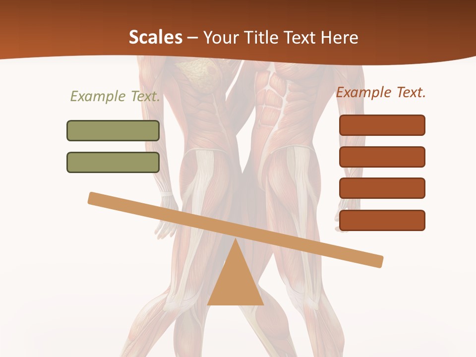 Human  Angle PowerPoint Template