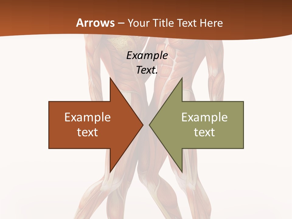 Human  Angle PowerPoint Template