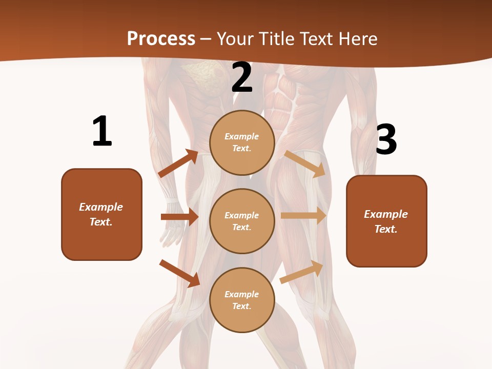 Human  Angle PowerPoint Template