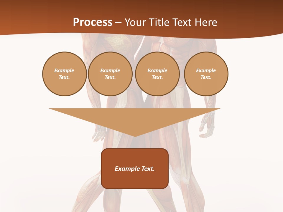 Human  Angle PowerPoint Template