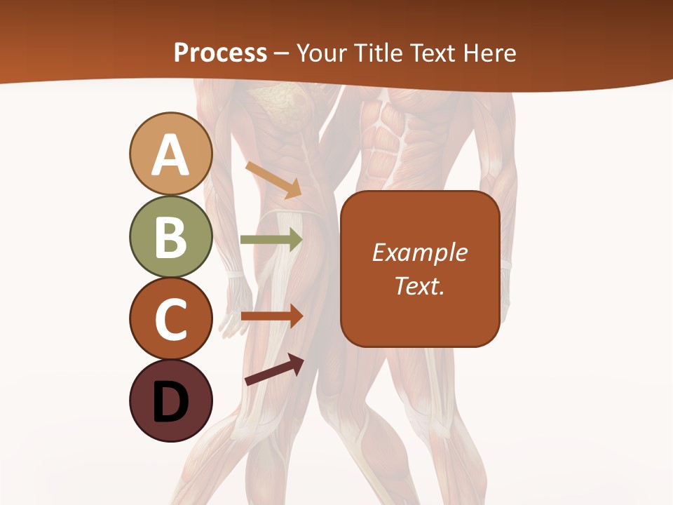 Human  Angle PowerPoint Template