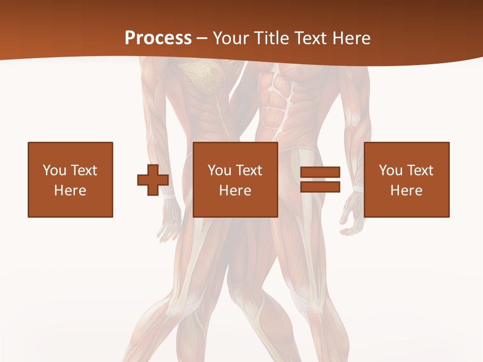 Human  Angle PowerPoint Template
