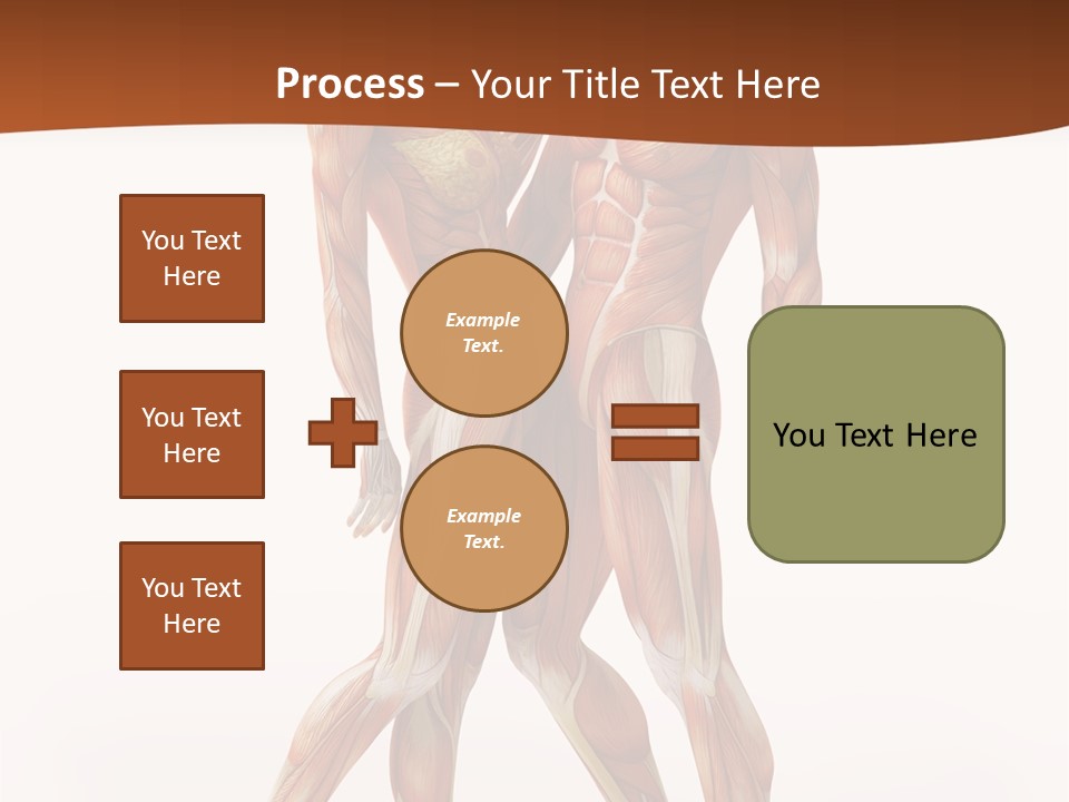 Human  Angle PowerPoint Template