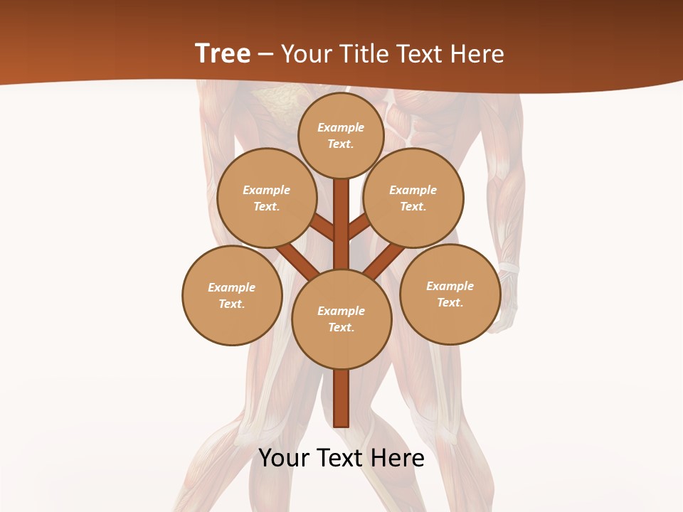 Human  Angle PowerPoint Template