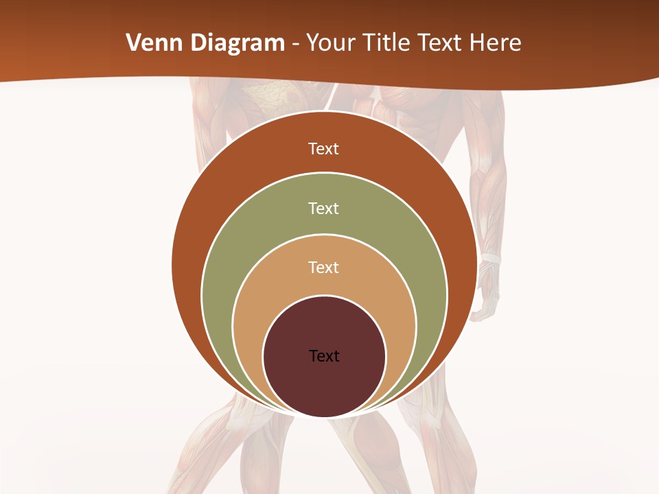 Human  Angle PowerPoint Template