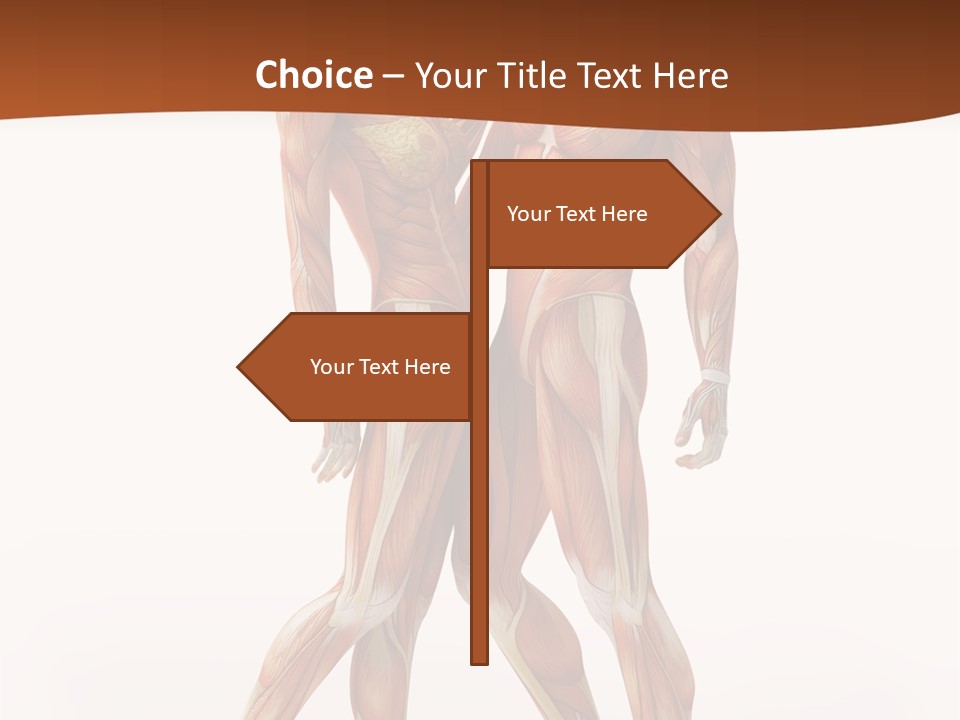 Human  Angle PowerPoint Template