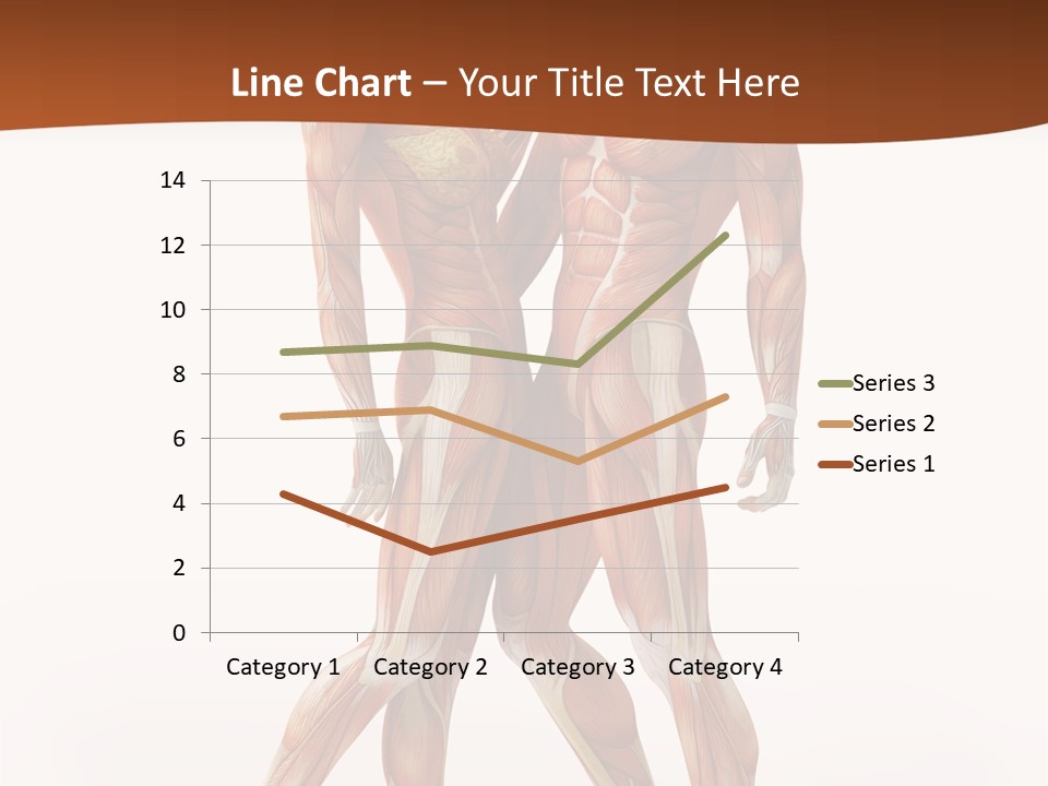 Human  Angle PowerPoint Template