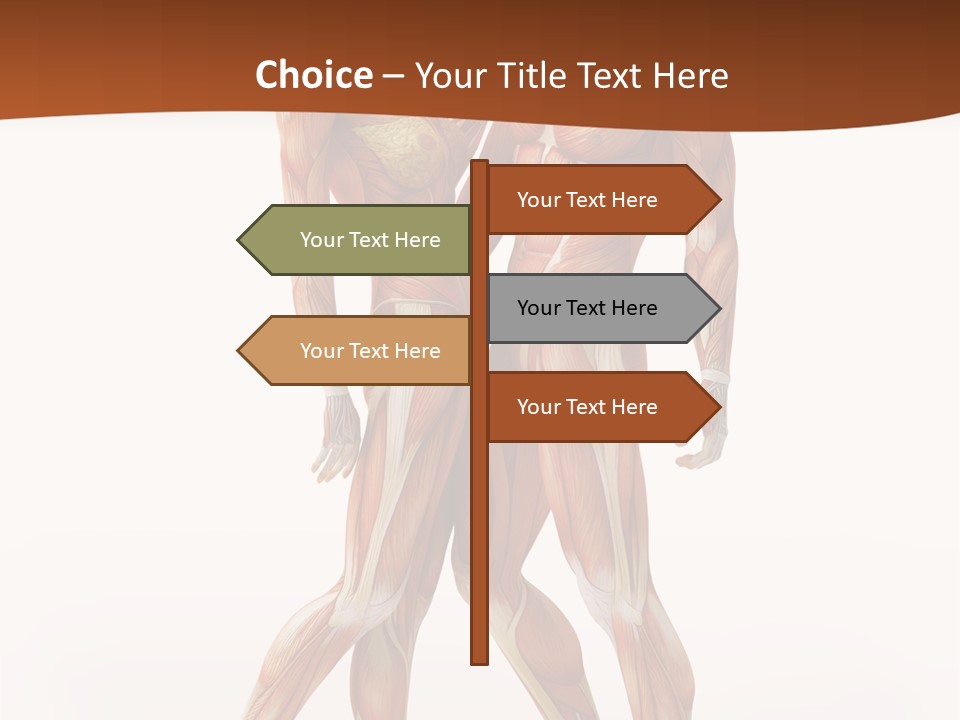 Human  Angle PowerPoint Template