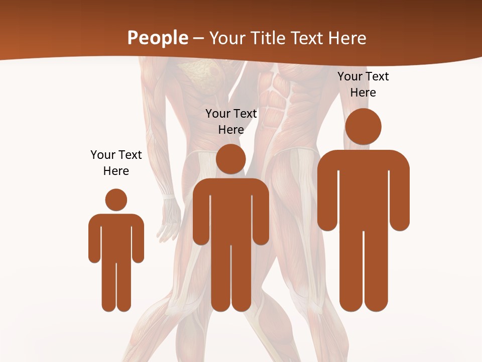 Human  Angle PowerPoint Template