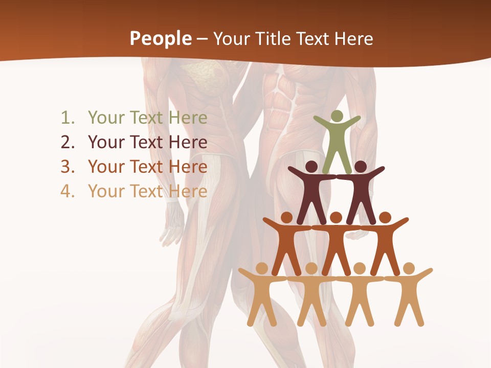 Human  Angle PowerPoint Template