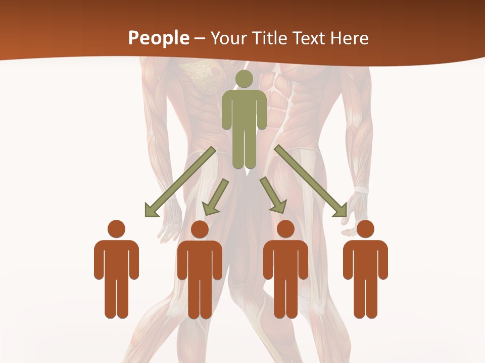 Human  Angle PowerPoint Template