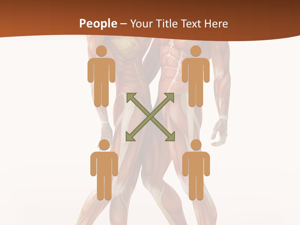 Human  Angle PowerPoint Template