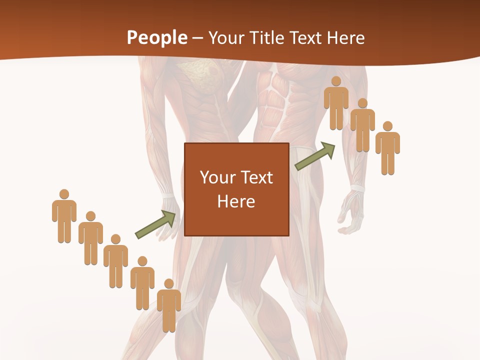 Human  Angle PowerPoint Template