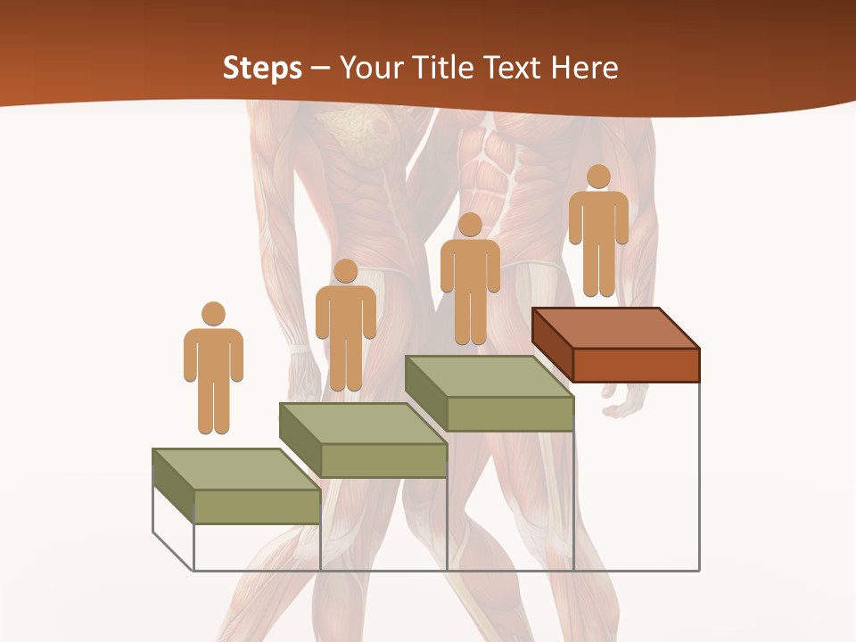 Human  Angle PowerPoint Template