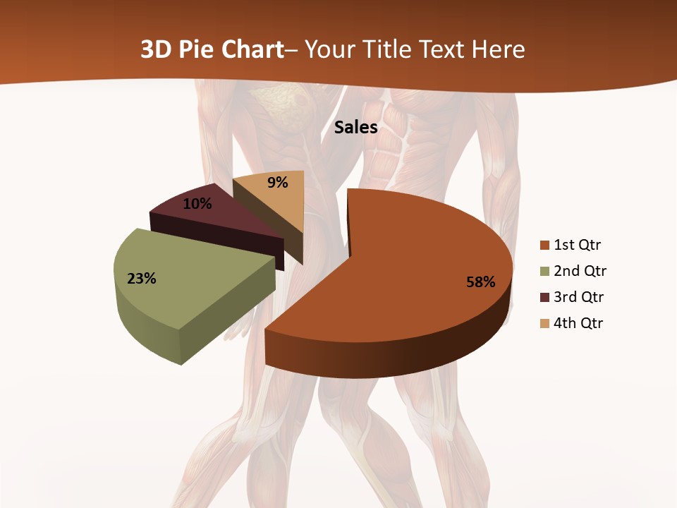 Human  Angle PowerPoint Template