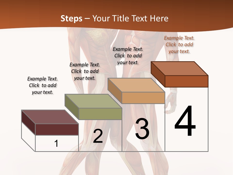 Human  Angle PowerPoint Template