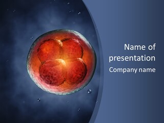 Genes Procreation Nucleus PowerPoint Template