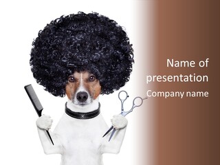 Russell Isolated Terrier PowerPoint Template