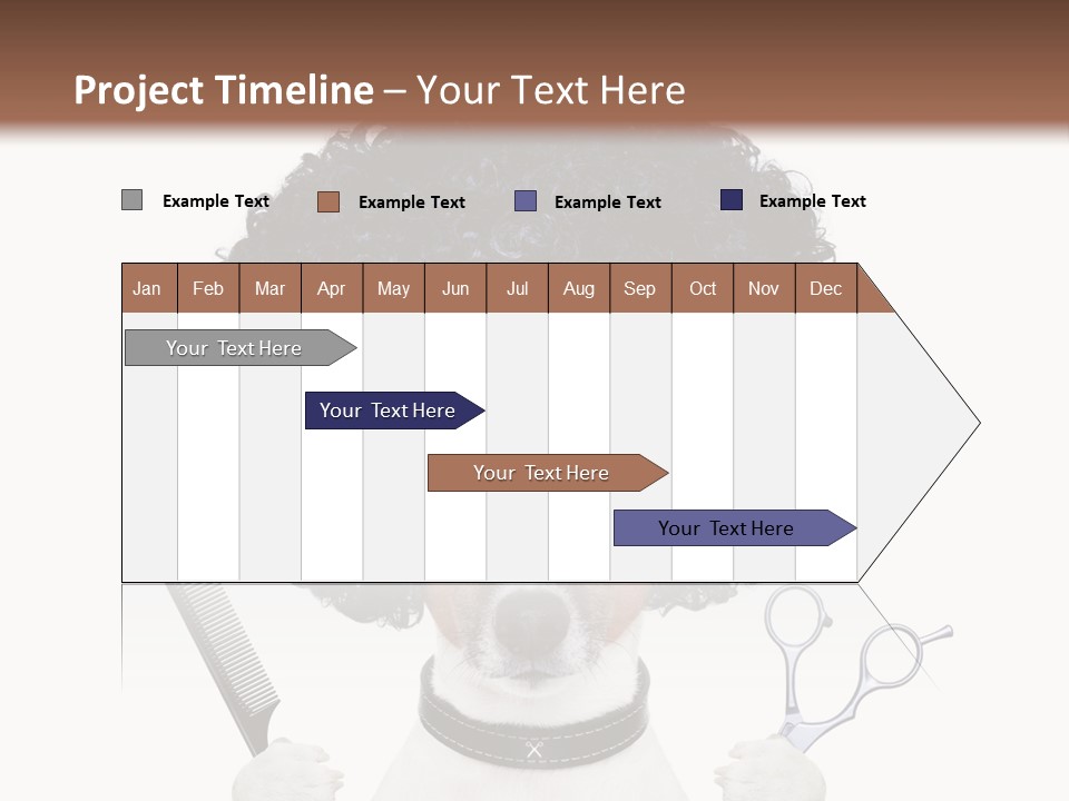 Russell Isolated Terrier PowerPoint Template