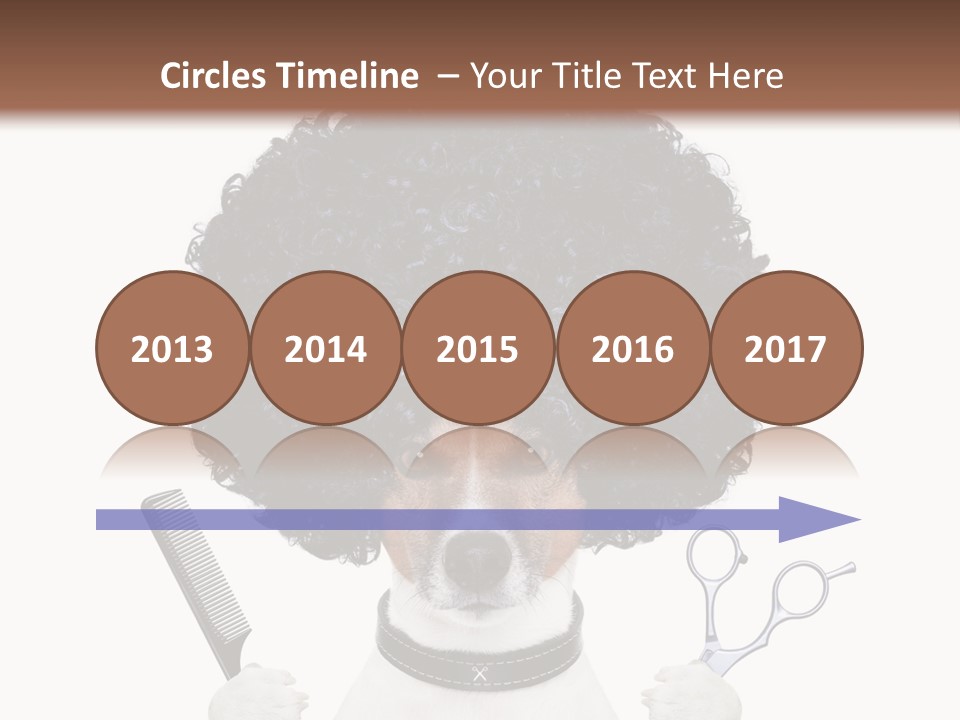 Russell Isolated Terrier PowerPoint Template